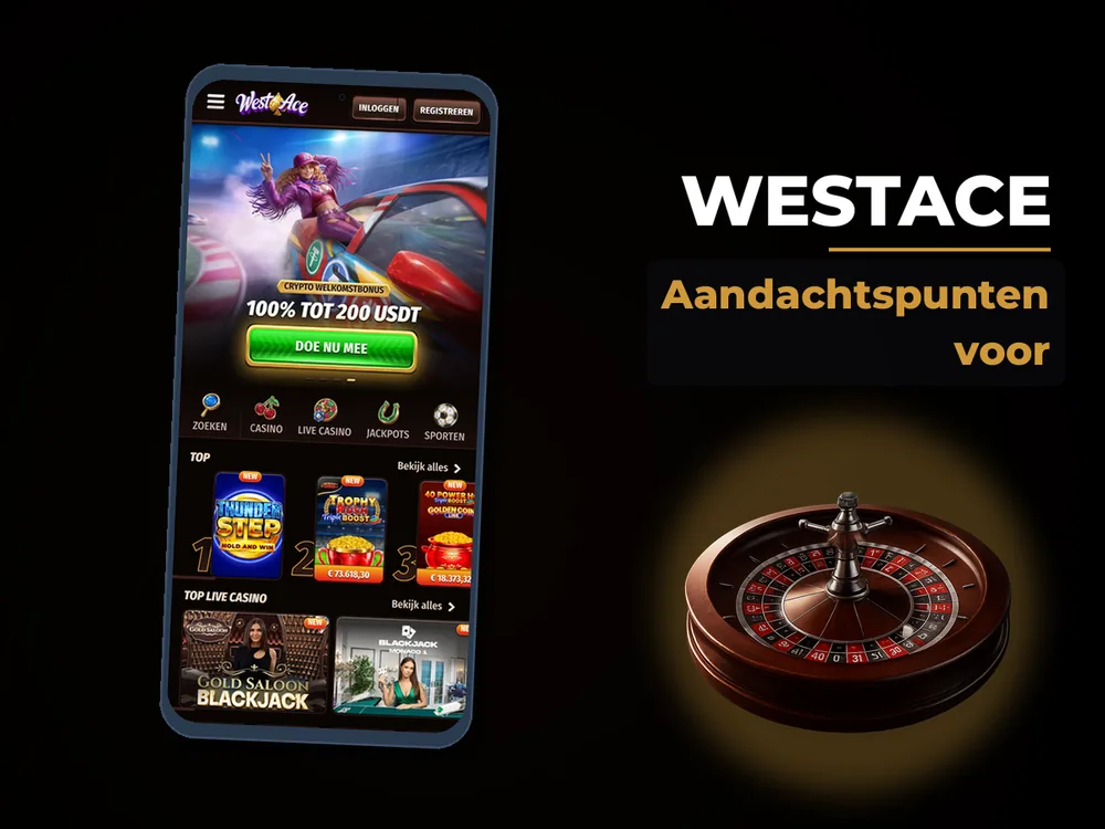 Westace - Aandachtspunten voor